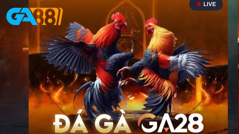 Để tham gia trò chơi đá gà Ga88, người chơi cần thực hiện các bước đơn giản